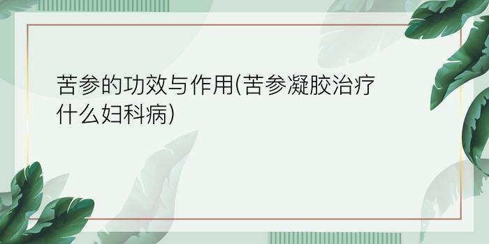 苦参的功效与作用(苦参凝胶治疗什么妇科病)