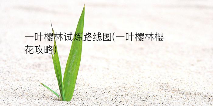 一叶樱林试炼路线图(一叶樱林樱花攻略)