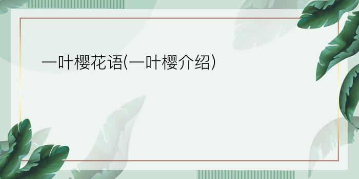 一叶樱花语(一叶樱介绍)