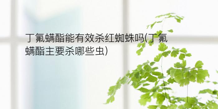 丁氟螨酯能有效杀红蜘蛛吗(丁氟螨酯主要杀哪些虫)