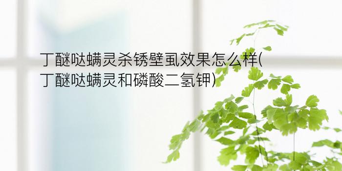 丁醚哒螨灵杀锈壁虱效果怎么样(丁醚哒螨灵和磷酸二氢钾)