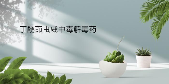 丁醚茚虫威中毒解毒药