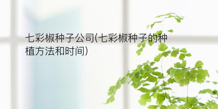 七彩椒种子公司(七彩椒种子的种植方法和时间)