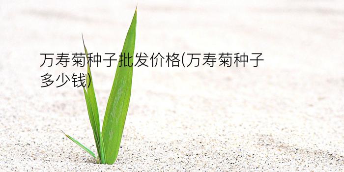 万寿菊种子批发价格(万寿菊种子多少钱)