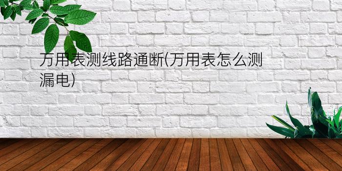 万用表测线路通断(万用表怎么测漏电)