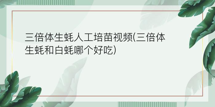 三倍体生蚝人工培苗视频(三倍体生蚝和白蚝哪个好吃)