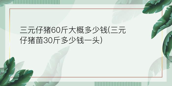 三元仔猪60斤大概多少钱(三元仔猪苗30斤多少钱一头)