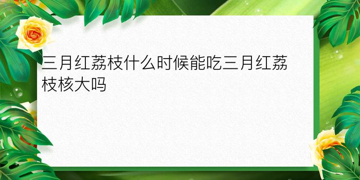 三月红荔枝什么时候能吃三月红荔枝核大吗