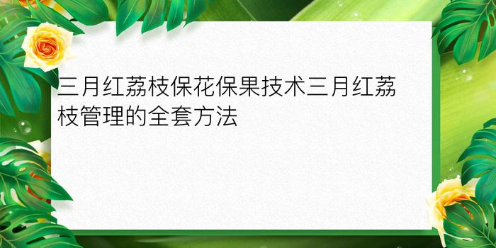 三月红荔枝保花保果技术三月红荔枝管理的全套方法