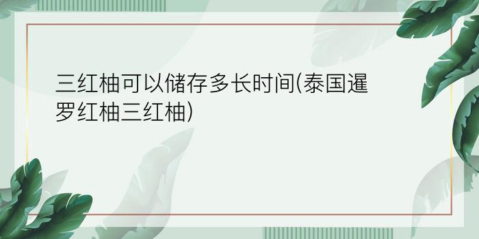 三红柚可以储存多长时间(泰国暹罗红柚三红柚)