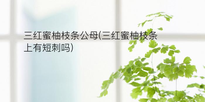 三红蜜柚枝条公母(三红蜜柚枝条上有短刺吗)