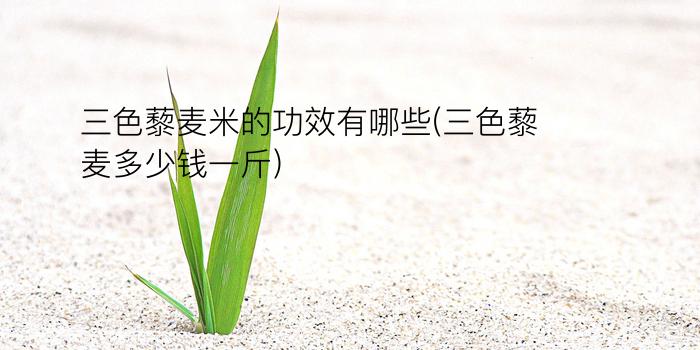 三色藜麦米的功效有哪些(三色藜麦多少钱一斤)