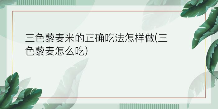 三色藜麦米的正确吃法怎样做(三色藜麦怎么吃)