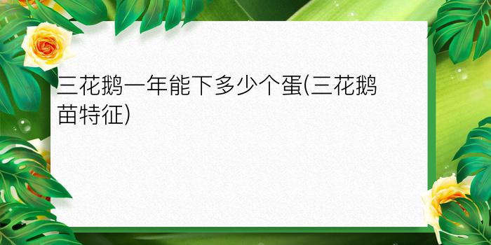 三花鹅一年能下多少个蛋(三花鹅苗特征)