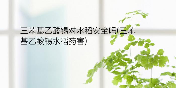 三苯基乙酸锡对水稻安全吗(三苯基乙酸锡水稻药害)