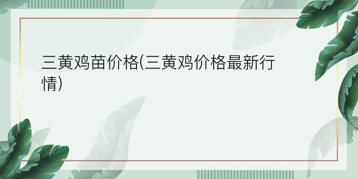 三黄鸡苗价格(三黄鸡价格最新行情)