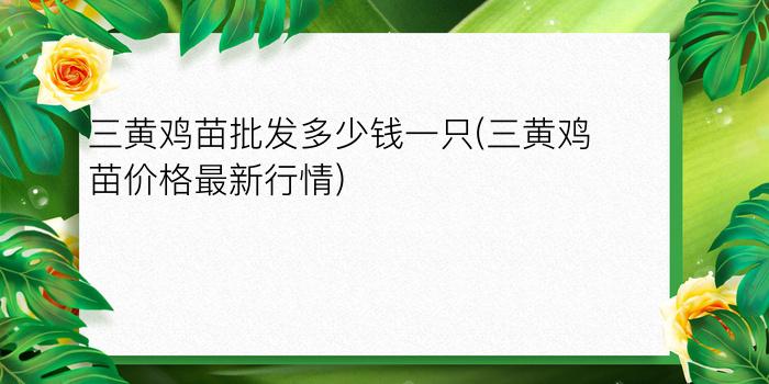 三黄鸡苗批发多少钱一只(三黄鸡苗价格最新行情)