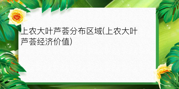 上农大叶芦荟分布区域(上农大叶芦荟经济价值)