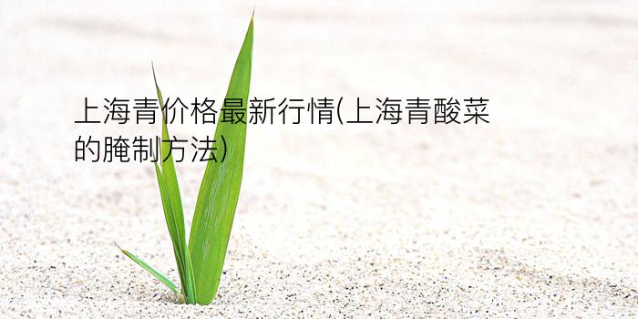 上海青价格最新行情(上海青酸菜的腌制方法)