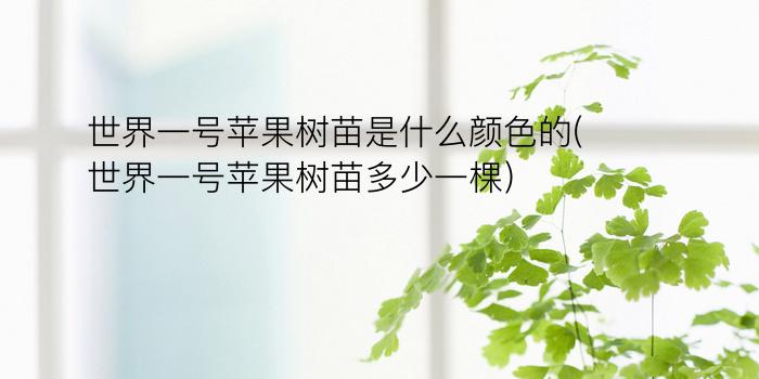 世界一号苹果树苗是什么颜色的(世界一号苹果树苗多少一棵)