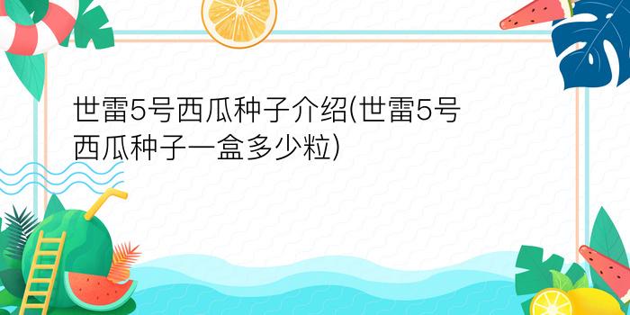 世雷5号西瓜种子介绍(世雷5号西瓜种子一盒多少粒)