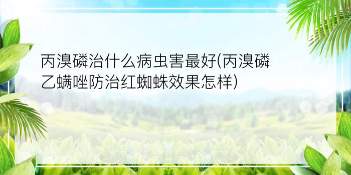 丙溴磷治什么病虫害最好(丙溴磷乙螨唑防治红蜘蛛效果怎样)