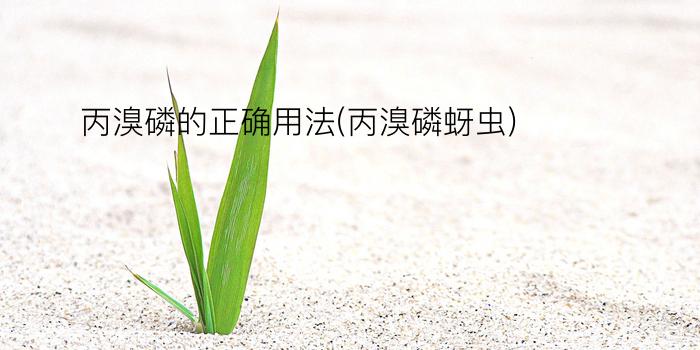 丙溴磷的正确用法(丙溴磷蚜虫)