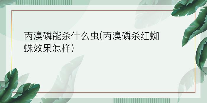 丙溴磷能杀什么虫(丙溴磷杀红蜘蛛效果怎样)