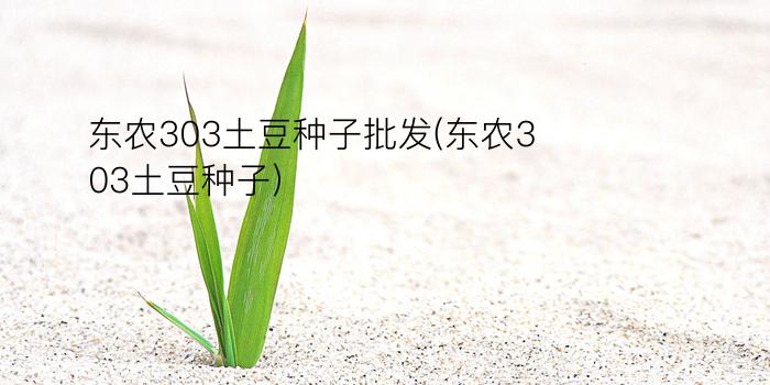 东农303土豆种子批发(东农303土豆种子)