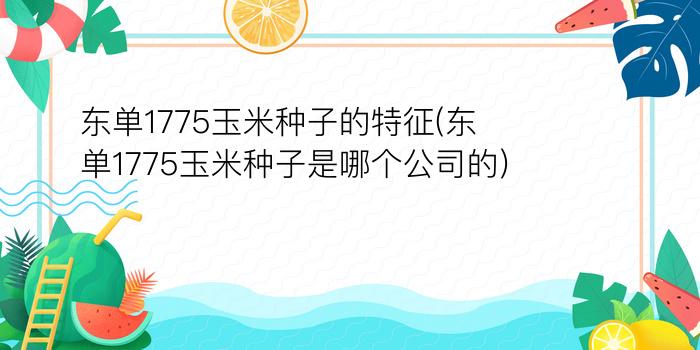 东单1775玉米种子的特征(东单1775玉米种子是哪个公司的)