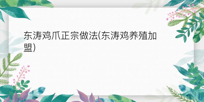 东涛鸡爪正宗做法(东涛鸡养殖加盟)