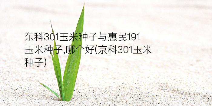 东科301玉米种子与惠民191玉米种子,哪个好(京科301玉米种子)