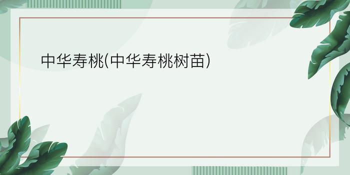 中华寿桃(中华寿桃树苗)