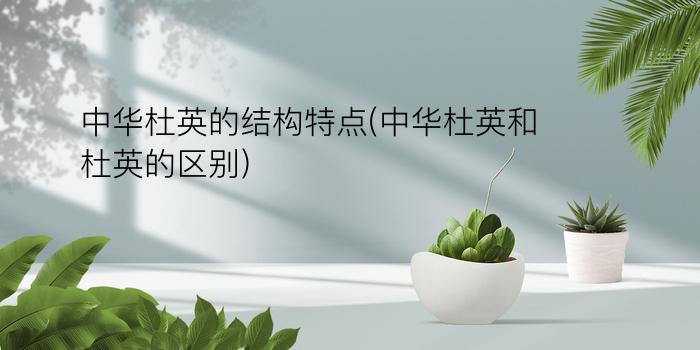 中华杜英的结构特点(中华杜英和杜英的区别)