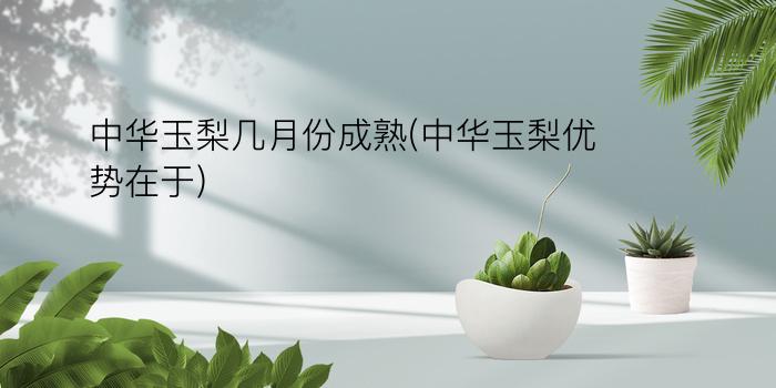 中华玉梨几月份成熟(中华玉梨优势在于)