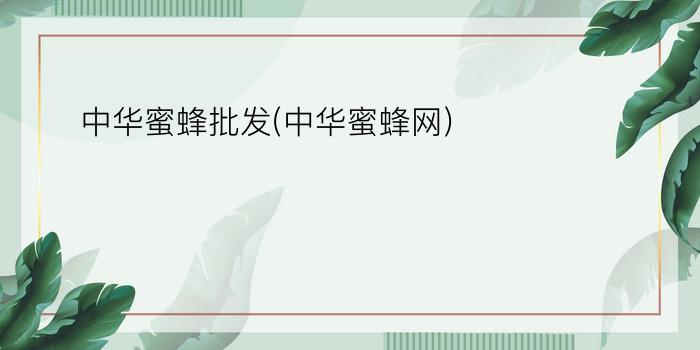 中华蜜蜂批发(中华蜜蜂网)