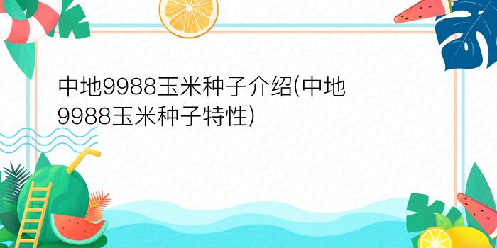 中地9988玉米种子介绍(中地9988玉米种子特性)