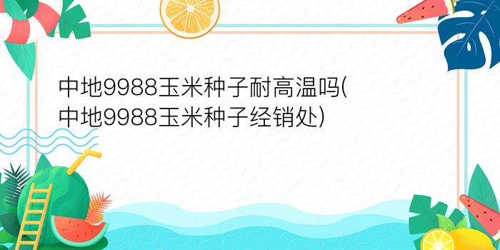 中地9988玉米种子耐高温吗(中地9988玉米种子经销处)