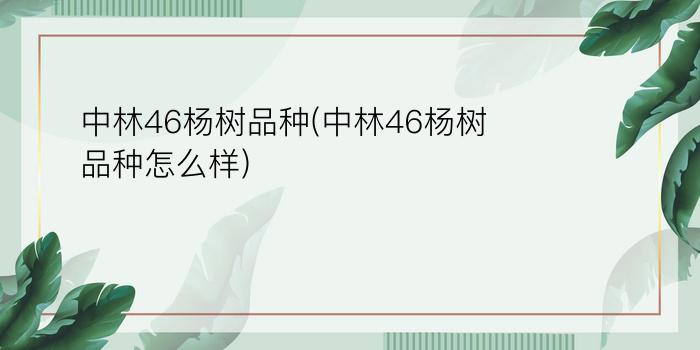 中林46杨树品种(中林46杨树品种怎么样)