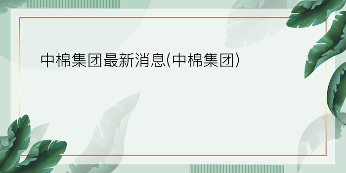 中棉集团最新消息(中棉集团)