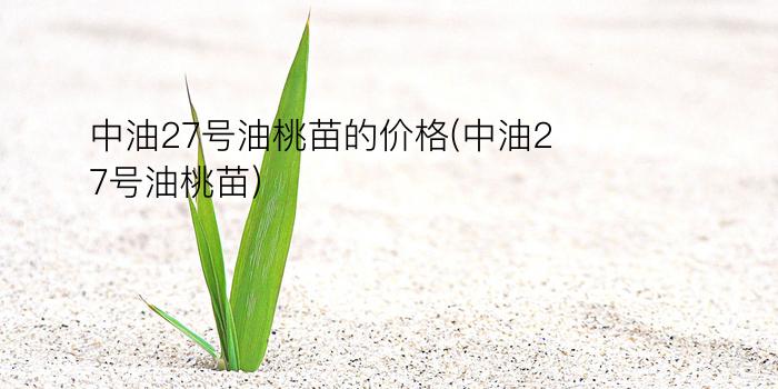 中油27号油桃苗的价格(中油27号油桃苗)