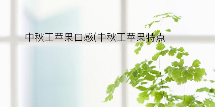 中秋王苹果口感(中秋王苹果特点)