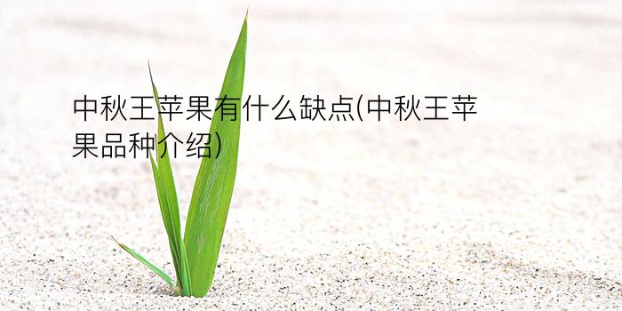 中秋王苹果有什么缺点(中秋王苹果品种介绍)