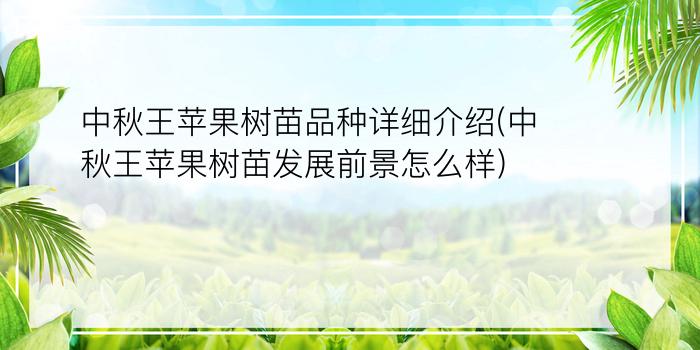 中秋王苹果树苗品种详细介绍(中秋王苹果树苗发展前景怎么样)