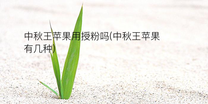 中秋王苹果用授粉吗(中秋王苹果有几种)