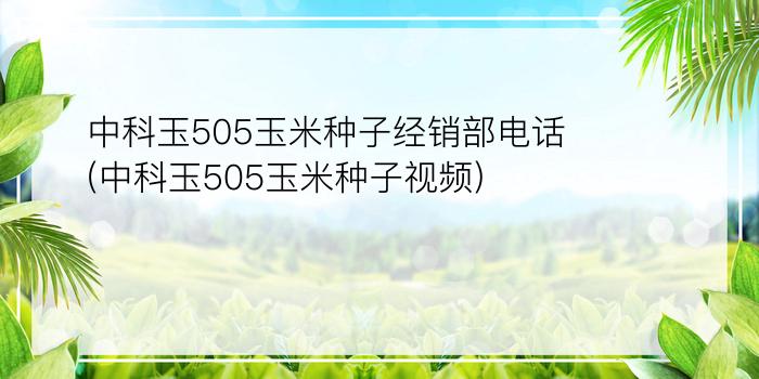 中科玉505玉米种子经销部电话(中科玉505玉米种子视频)