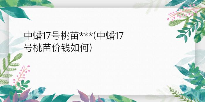 中蟠17号桃苗***(中蟠17号桃苗价钱如何)