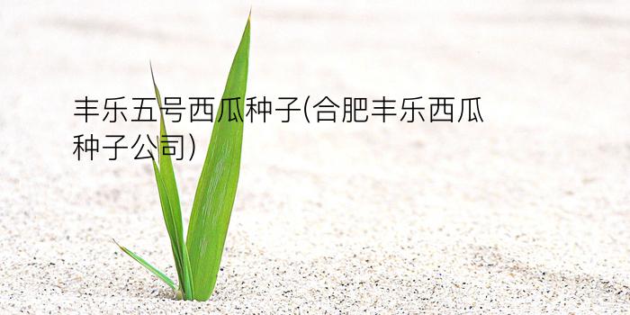 丰乐五号西瓜种子(合肥丰乐西瓜种子公司)