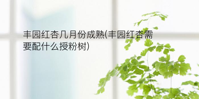 丰园红杏几月份成熟(丰园红杏需要配什么授粉树)