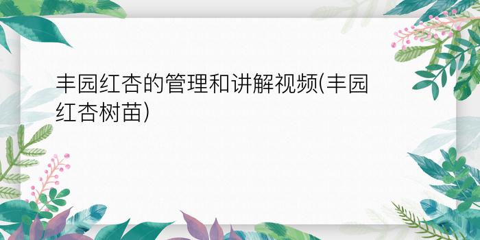 丰园红杏的管理和讲解视频(丰园红杏树苗)